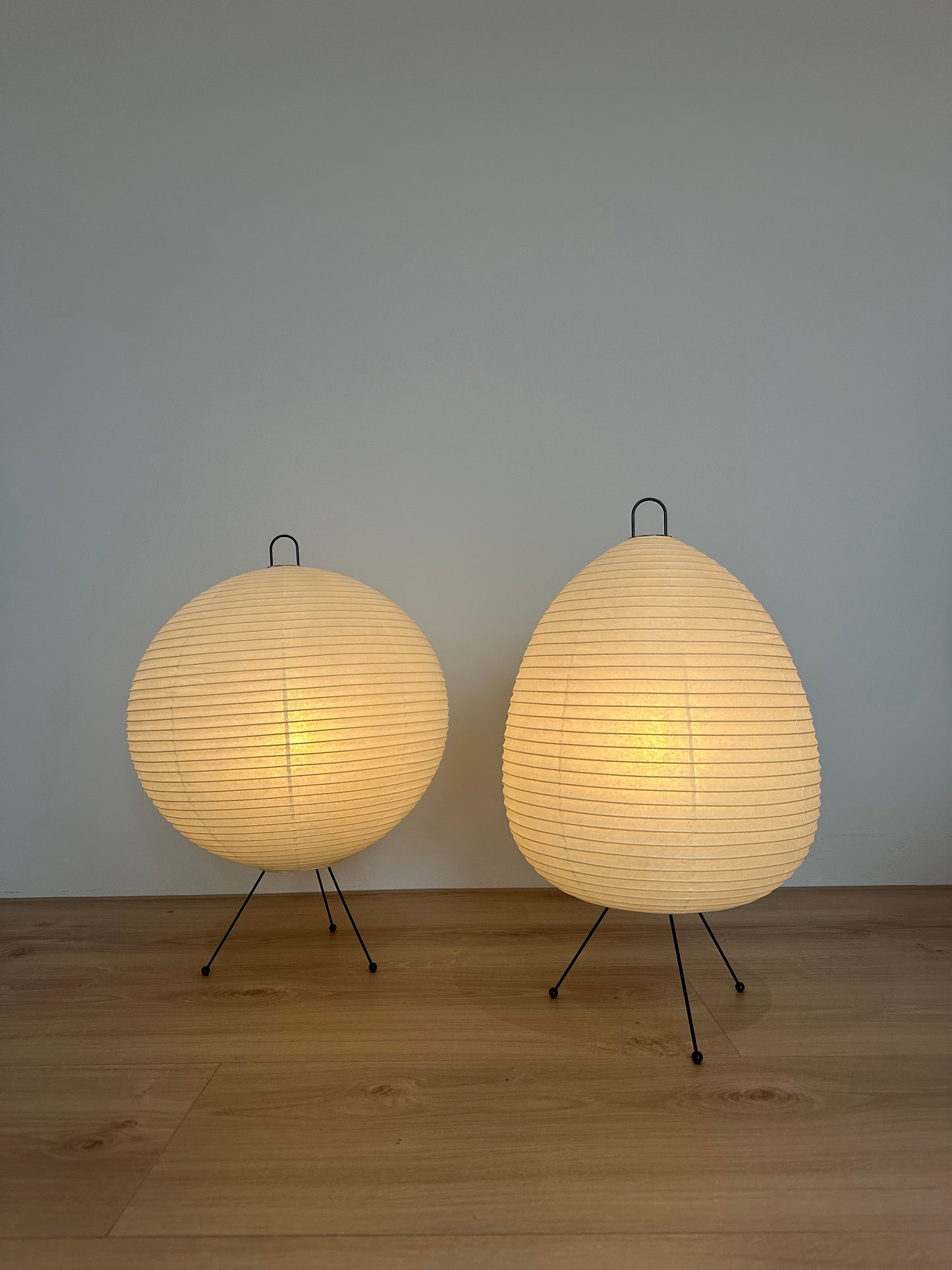 🇯🇵日本製 淺野商店 Chochin lamp 01橡果型